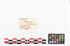 Etikett zu Beingriff (NHMW-PRAE-025234)